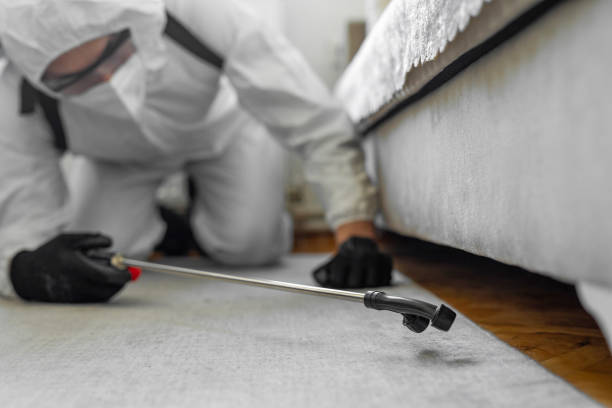 Professional Ant Control technician working in Lake Lakengren, OH