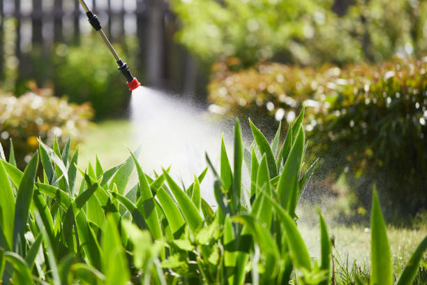 24/7 Emergency Mosquito Control experts in Lake Lakengren, OH