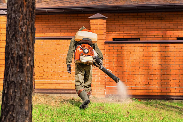 Top rated local Mosquito Control specialists in Lake Lakengren, OH